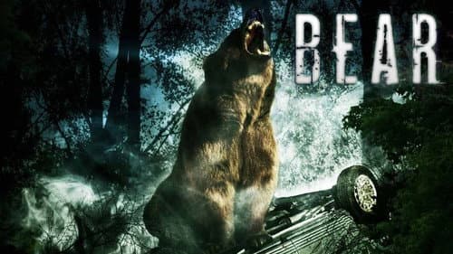 Bear still