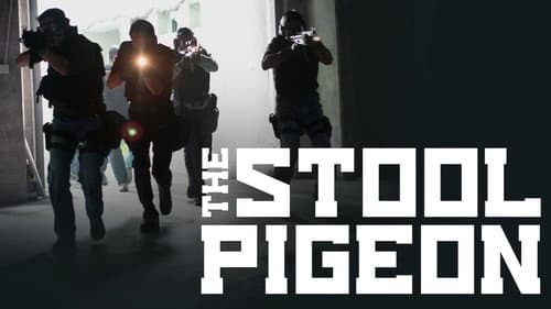 The Stool Pigeon still
