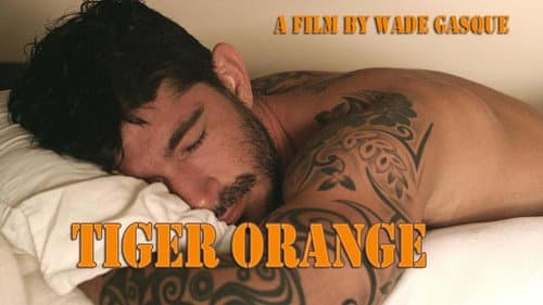 Tiger Orange still