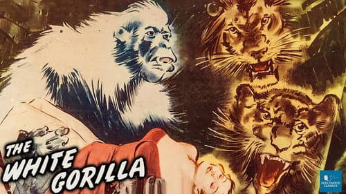 The White Gorilla still