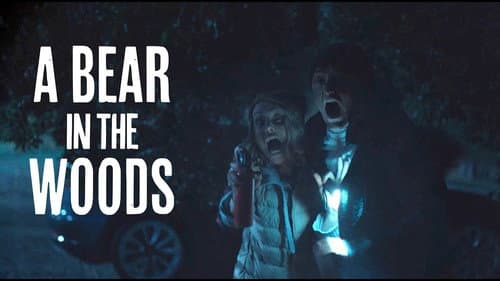 A Bear in the Woods still