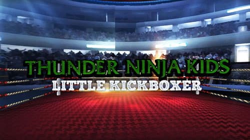 Thunder Ninja Kids: Little Kickboxer still