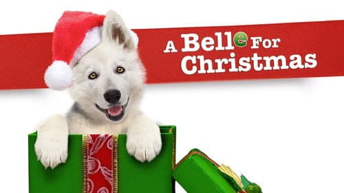 A Belle for Christmas still