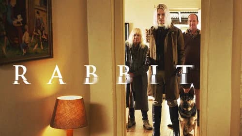 Rabbit still