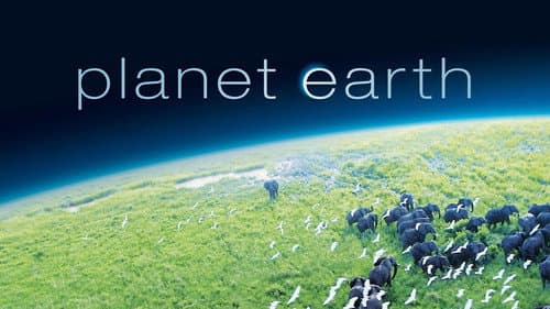 Planet Earth still