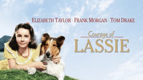 Courage of Lassie still