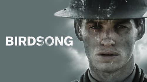 Birdsong still