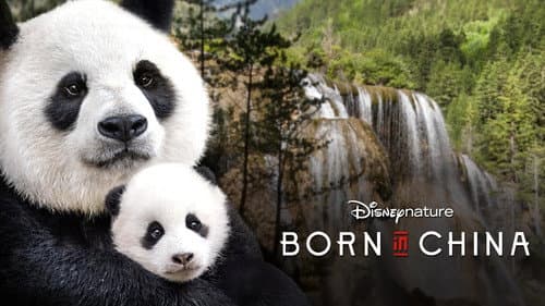 Born in China still