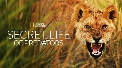 Secret Life of Predators still