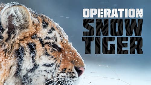 Operation Snow Tiger still