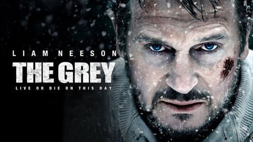 The Grey still