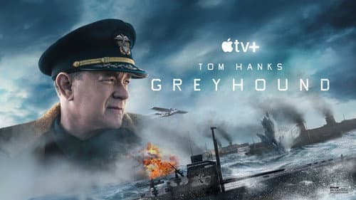 Greyhound still