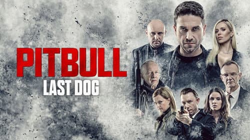 Pitbull. Last Dog still