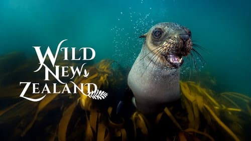 New Zealand: Earth's Mythical Islands still