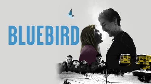Bluebird still