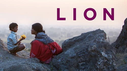 Lion still