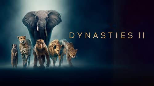 Dynasties still