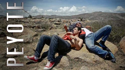 Peyote still