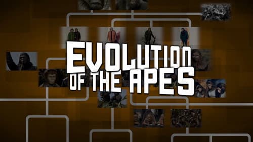 Evolution of the Apes still