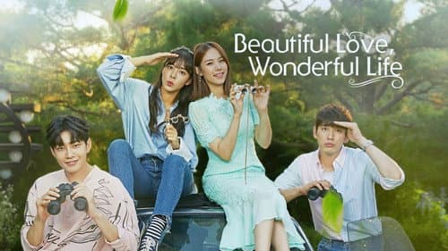 Beautiful Love, Wonderful Life still