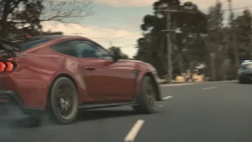 The Mongoose still