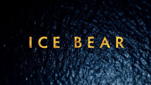 Polar Bears: Ice Bear still