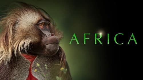 Africa still