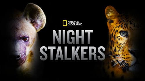 Night Stalkers still
