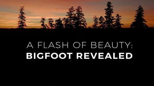 A Flash of Beauty: Bigfoot Revealed still