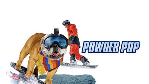 Powder Pup still