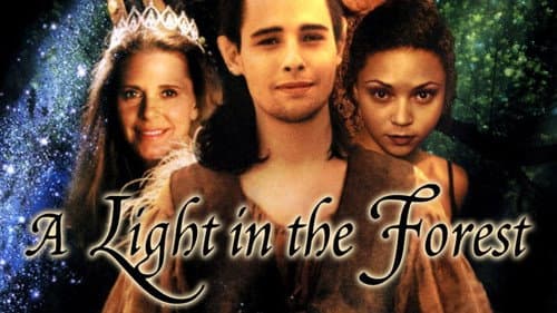 A Light in the Forest still