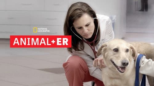 Animal ER still