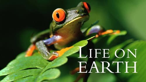 Life on Earth still