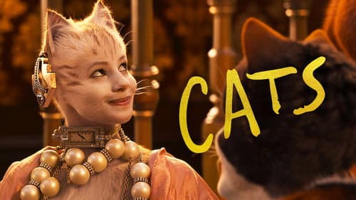 Cats still
