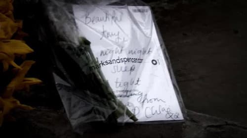 Amy Winehouse: The Final Goodbye still