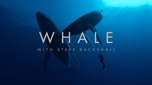 Whale with Steve Backshall still