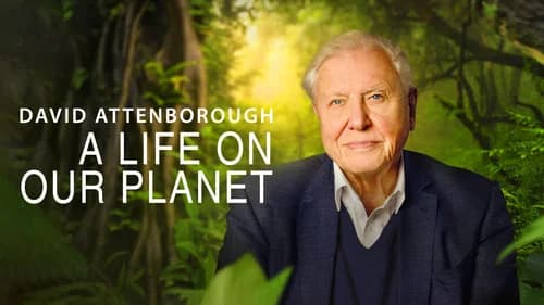 David Attenborough: A Life on Our Planet still