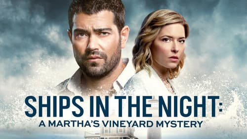 Ships in the Night: A Martha's Vineyard Mystery still