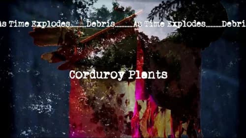 Corduroy Plants still