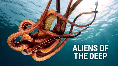 Aliens of the Deep Sea still