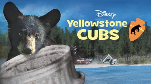 Yellowstone Cubs still