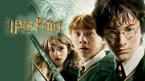 Harry Potter and the Chamber of Secrets still