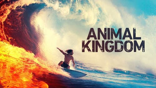 Animal Kingdom still