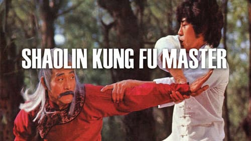 Shaolin Kung Fu Master still