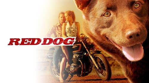 Red Dog still