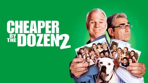 Cheaper by the Dozen 2 still