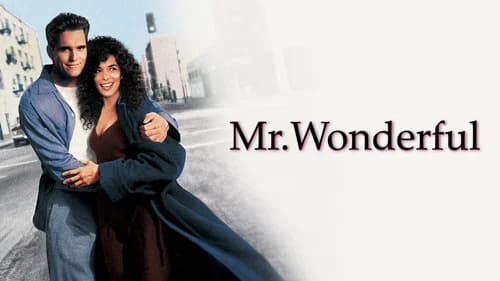 Mr. Wonderful still