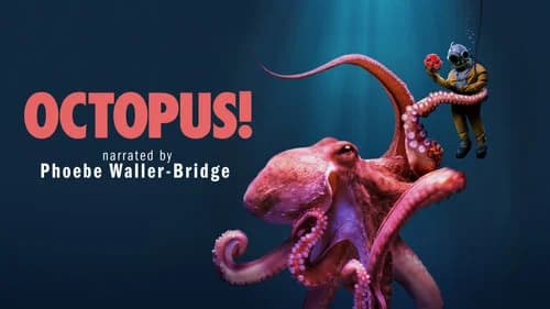 Octopus! still