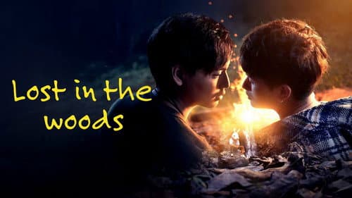 Lost in the Woods still