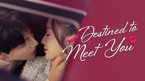 Destined to Meet You still